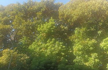 Naima House - Foto 38