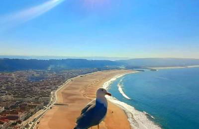 Maresia Villa Mar - Foto 52