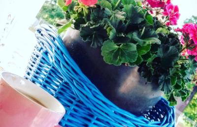 Agroturystyka Zaborski Sad - Foto 12