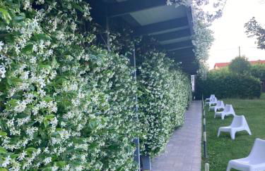 Mxp Rooms Guest House - Foto 10