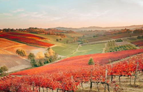 Agriturismo Opera 02 - Photo 1