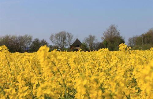 Ferienhof am Deich - Foto 9