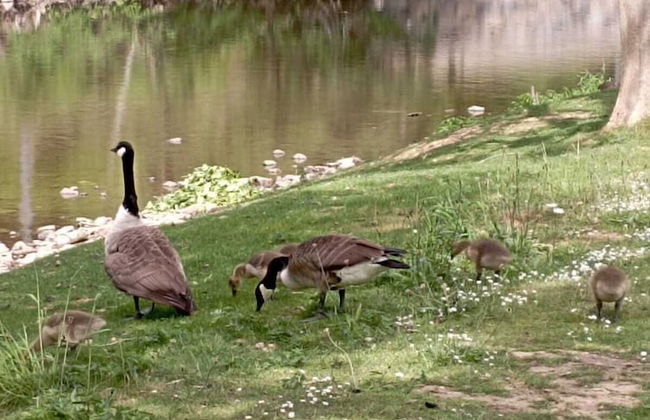 La Villa "les Pieds Dans L'eau" - Foto 19