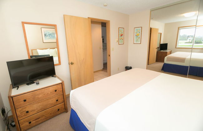 The Grey Gull - Foto 33