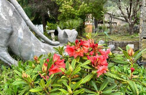 House of artist - Foto 40