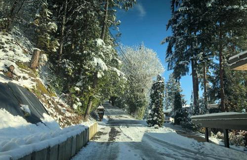 3 bed Lake Sammamish Waterfront + Peloton Bike - Foto 76