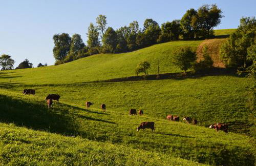 Hansjörgenhof Bioland-Hof - Foto 39