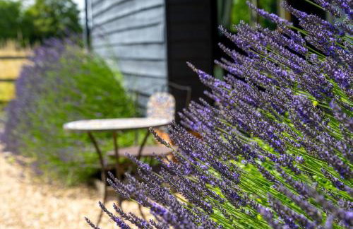 Moles Meadow - Foto 31