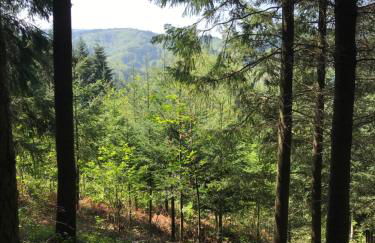 Ferienwohnung Hesselbach - Foto 31