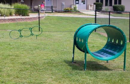 Secluded Rustic Cabin with Views - Foto 67