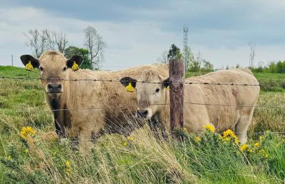 Turnpike House - Foto 80