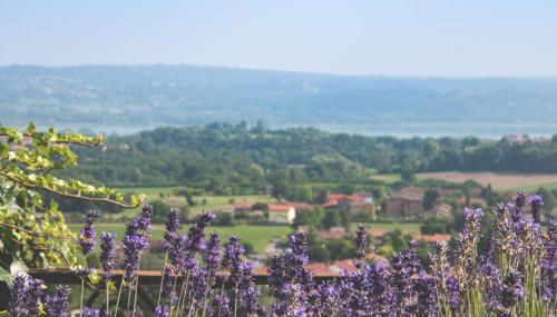 Villa La Limonera - Foto 2