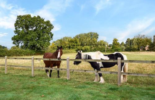 2 Bed in Dereham oc-57133 - Foto 3