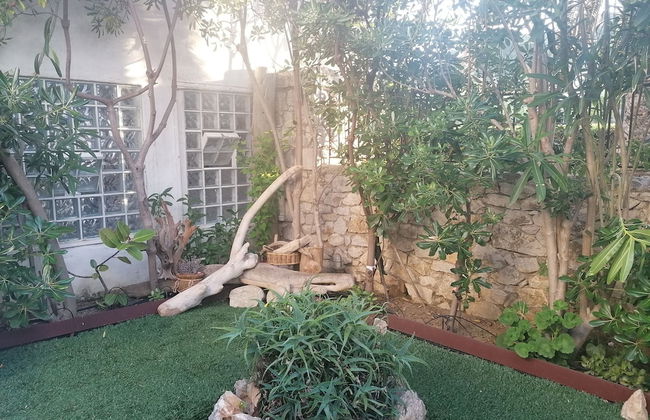 Maestralia - Foto 66