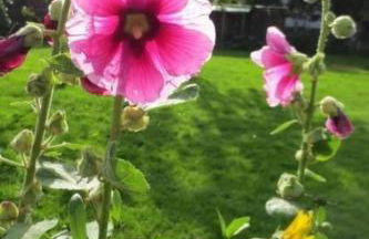 Holiday Home Landleben by Interhome - Foto 10