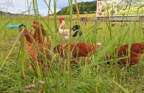 Kötterhof - Foto 11