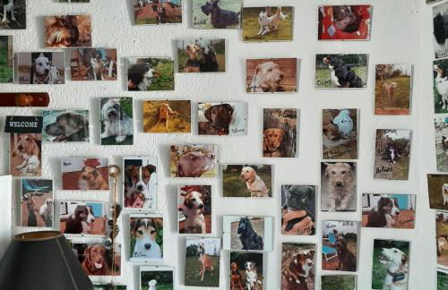 Ostréane-en-Ré - Foto 22