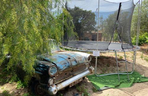 Quinta dos Pinheiros - Foto 43