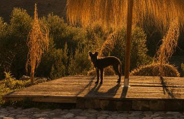Finca Dariana Padel & Pool - Foto 71