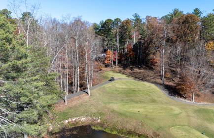 Chicadees Lake Lookout - A wood-burning fireplace, beautiful lake views, king and queen bedrooms, deck dining, and easy access t - Foto 38