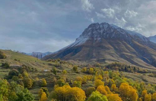 La scierie de la grande ourse - Photo 10