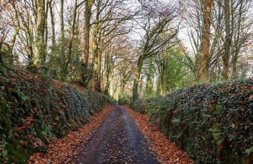 Dishcombe Cottage - Foto 47