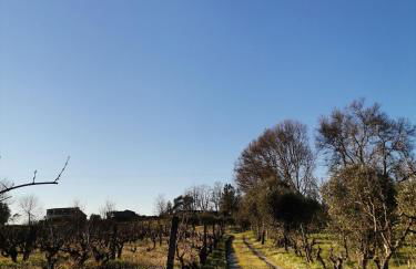 Casa Cabeço do Barragão - Photo 41