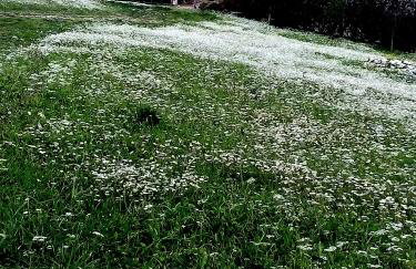 Villa Myrto - Foto 12