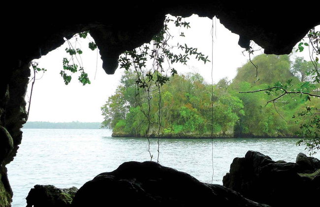 Excursão ao Parque Nacional Los Haitises - Foto 6