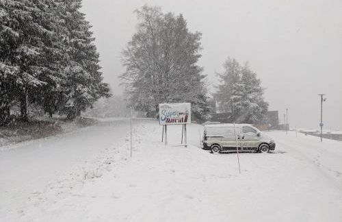 Perce-neige - Foto 24