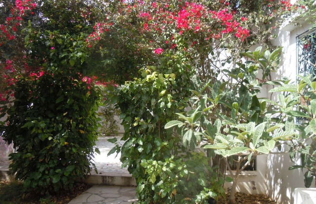 House With Garden Wala - Foto 12