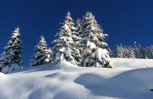 Appartement dans chalet aux saisies-100m des pistes-cœur station 13 pers - Foto 39