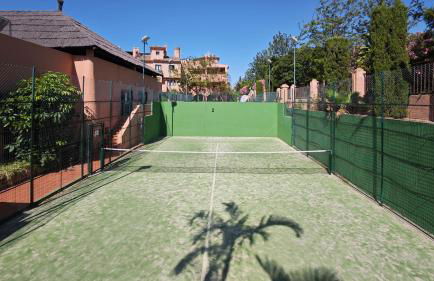 Flamenco Rose - Photo 43