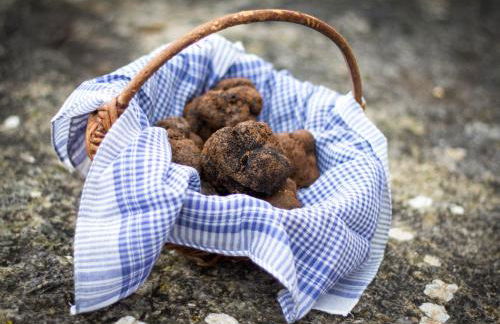 La Vayssade - Grand Gîte de charme - 14 pers - Piscine & Jacuzzi - Photo 46