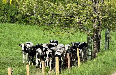 Place de la gare cy - Foto 21