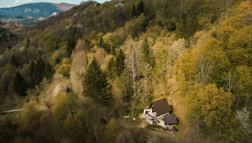 Villa Planica Holiday Home - Foto 3