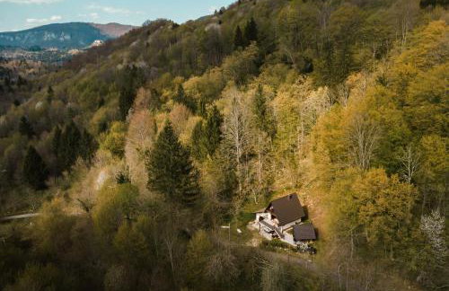 Villa Planica Holiday Home - Foto 3