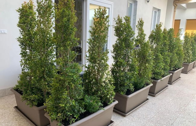 Thalya Luxury Rooms - Foto 62