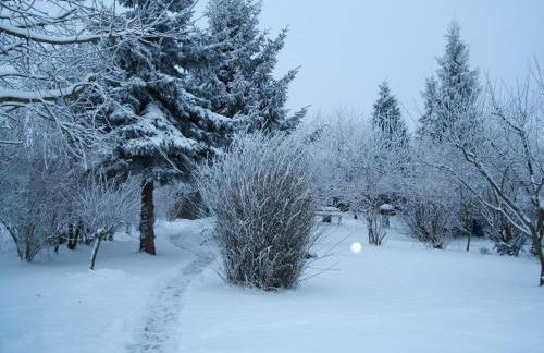 Landhaus Ferienwohnung in Gorow - Foto 45