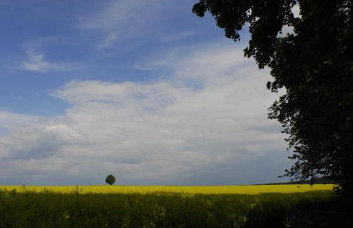 Chalet Landsberg - Foto 58