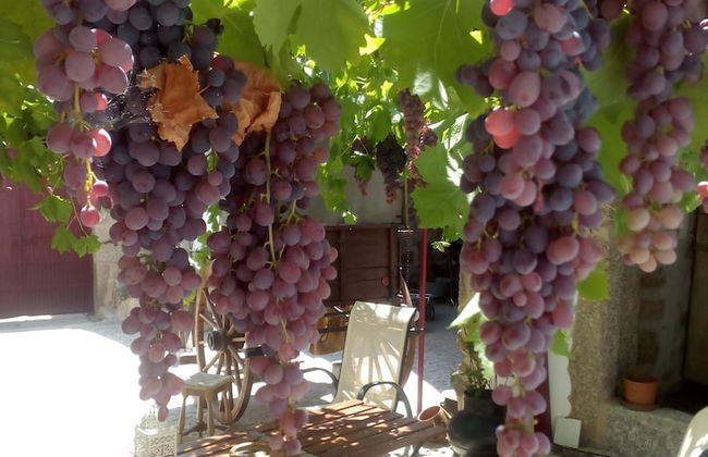 Casas do Durão - Foto 43