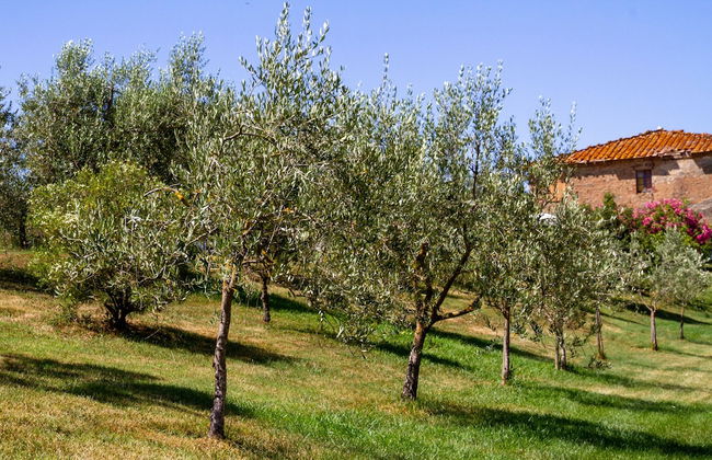 Agriturismo Due Ponti - Foto 38