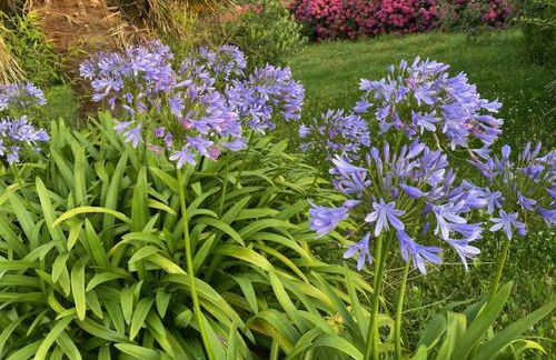 Danydan- Brignogan-Plages - Maison de charme Bretonne en Granit sur la côte des légendes - Foto 23