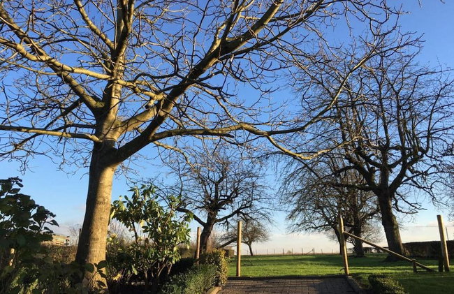 Special Lodge With Great View, Near Maastricht - Foto 40