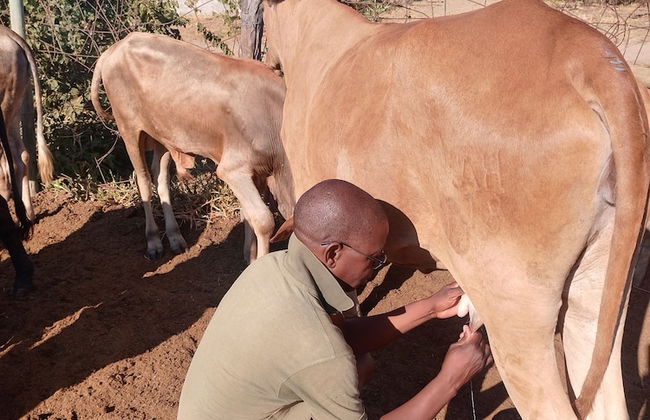 Destiny Blo Inn - Photo 25