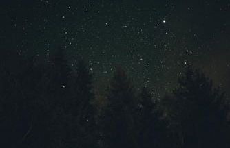 Blickinsfreie - Cabin - Foto 51