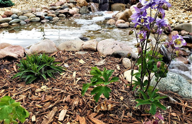 Peak Valley Manor, a Modern Farmhouse - Foto 77