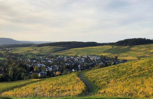 Appartement Willems - Photo 16