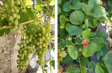 Apartments Mali Raj - Photo 46