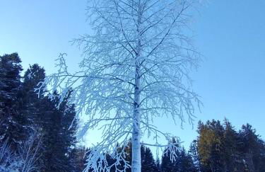 Fewo Wertachliebe - Photo 31